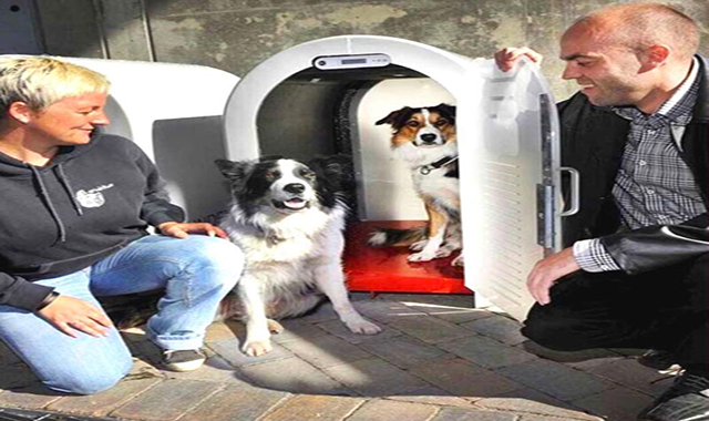 Pet House Air Cooling